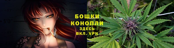 jwh Горняк