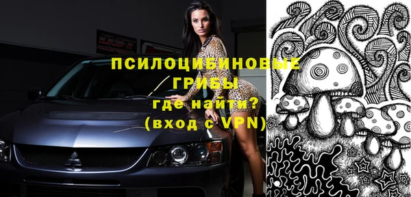 jwh Горняк