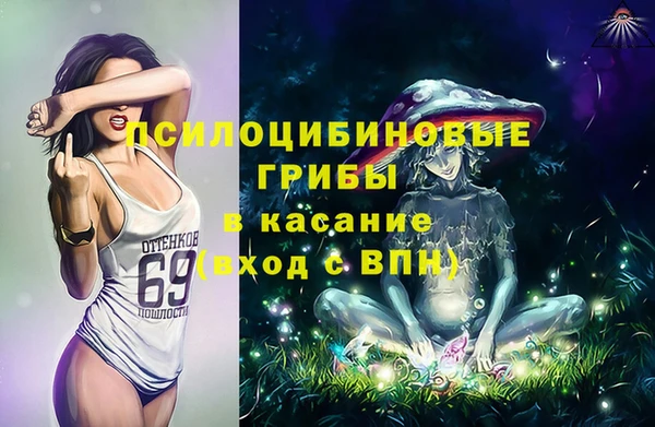 хмурый Вязьма